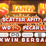 What Makes API77 Stand Out in the Indonesian Slot Market